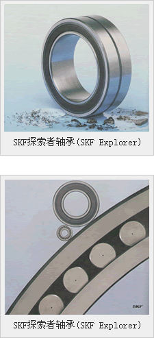 SKF̽�����S��(SKF Explorer)